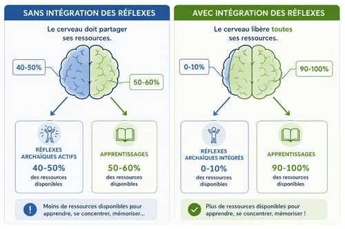 Impact intégration réflexes archaïques apprentissages scolaires ressources neurologiques enfant