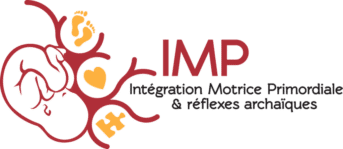 Logo IMP — Intégration Motrice Primordiale, formation certifiante suivie par Laure Doudard à Brest
