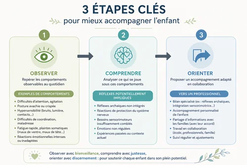 Schéma professionnel observer comprendre orienter réflexes archaïques enfant